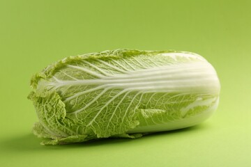 Fresh ripe Chinese cabbage on light green background