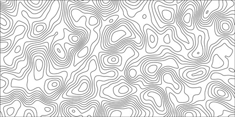 Stylized White topographic contour scheme and terrain.  Topographic contour lines vector map seamless pattern vector.  Canyon geometric map relief texture with curved layers