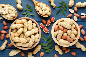 Fresh peanuts and twigs on blue wooden table, flat lay