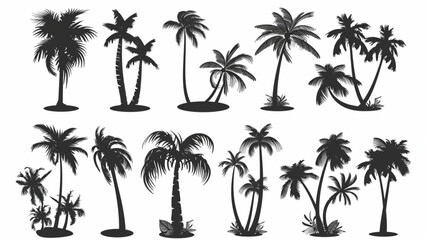 Black palm silhouettes. Tropical trees shadows. Variety beach palms with leaves. Oasis, paradise, island, resort, vacation monochrome symbols isolated on white background 3D