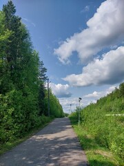 Russian road in summer, green trees on both sides and blue sky with white clouds above it. The asphalt is smooth underfoot, creating an atmosphere reminiscent of leisurely walks.