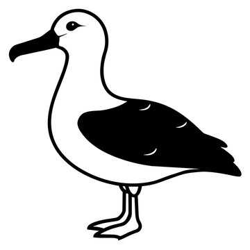 recommend clip art: Mastering the Majesty: Albatross Vector Art Collection