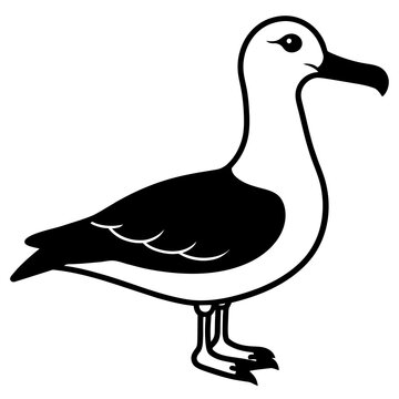 recommend clip art: Mastering the Majesty: Albatross Vector Art Collection