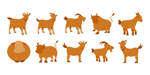 Flat cow and goat illustration. Mammals animal in flat silhouette style. Animal for Qurban.