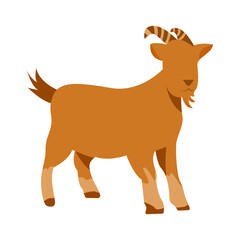 Flat goat illustration. Mammals animal in flat silhouette style. Animal for Qurban.