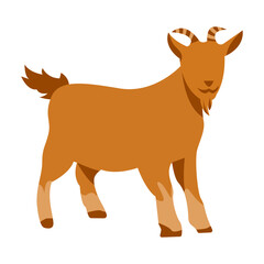 Flat goat illustration. Mammals animal in flat silhouette style. Animal for Qurban.