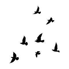 Bird sillhouette background in the sky. Flying birds silhouettes on white background. Vector illustration. isolated bird flying.