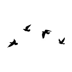 Bird sillhouette background in the sky. Flying birds silhouettes on white background. Vector illustration. isolated bird flying.