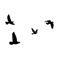Bird sillhouette background in the sky. Flying birds silhouettes on white background. Vector illustration. isolated bird flying.