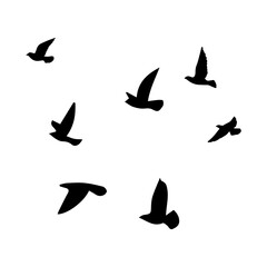 Bird sillhouette background in the sky. Flying birds silhouettes on white background. Vector illustration. isolated bird flying.