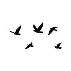 Bird sillhouette background in the sky. Flying birds silhouettes on white background. Vector illustration. isolated bird flying.