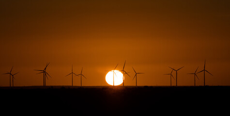 Windmills at sunset