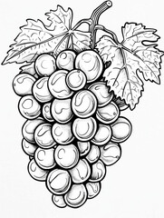 Detailed black and white illustration of grape clusters.