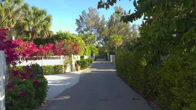 Driving on Florida scenic road. Car point of view of Casey Key coastal neighborhood with tropical nature and southern architecture.