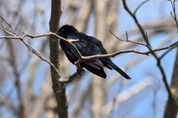 Marais Kingsbury 10 Mai 2024