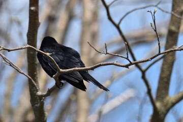 Marais Kingsbury 10 Mai 2024