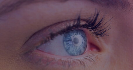 Naklejka premium A close-up of Caucasian person's eye, showcasing a blue iris