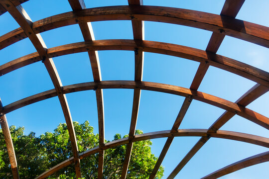 garden glulam domes lattice infrastructure wood beams roof structure in Cape Town South Africa