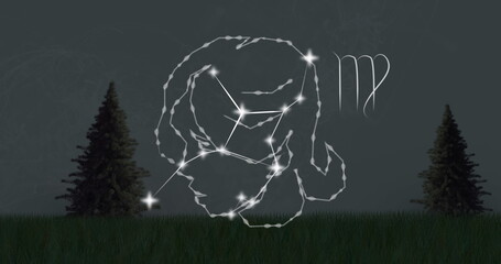 Image of virgo star sign with glowing stars over grass and fir trees