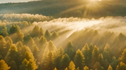 Aerial view over the dreamlike nature above the clouds of norway with view of the majestic mountains with trees and rocks on the blue sea during an adventurous journey