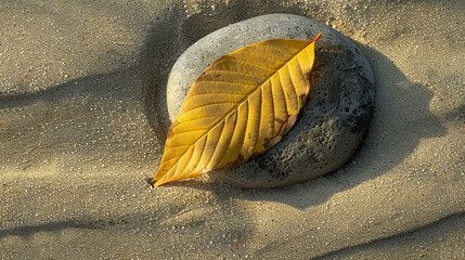 A single leaf resting on a smooth, flat stone, surrounded by the soft, uniform texture of sand, creating a study in simplicity and natural beauty