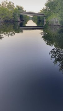 Florida everglades