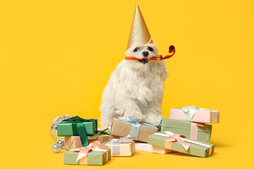 Cute Bolognese dog in party hat with whistle celebrating Birthday on yellow background