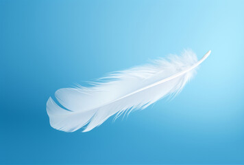 A white feather floats in the air against a blue sky, its spare and elegant brushwork, personal iconography, crisp and delicate soft-focus apparent.