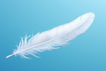 A white feather circles in a blue sky, its spiritualcore, accurate bird specimens, and delicate shading apparent.
