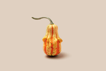 Decorative pumpkin on beige background with copy space. Minimal style aesthetic photo, autumn...