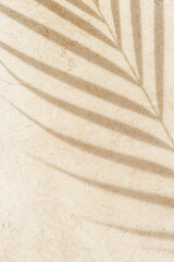 Palm tropical leaf shadow on textured concrete background neutral earth colored. Summer minimal style, sunlight. Beige monochrome summertime backdrop with plant sun shade with natural dark light