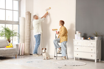 Mature couple with dog painting wall during repair in their new house