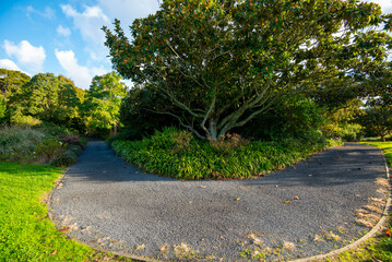 Auckland Botanic Gardens - New Zealand