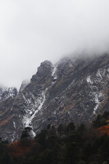 cloudy foggy alpine forest and panorama of snowcapped himalaya mountains range of north sikkim near yumthang valley in india