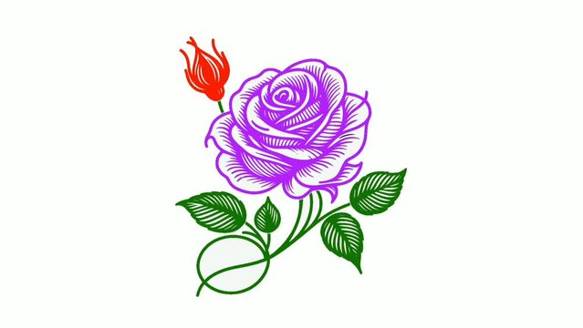 A monochromatic rose featuring a stem and leaves, contrasting with a vividly colorful line of roses along with their leaves.