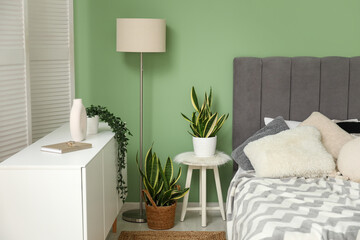 Bedside table with houseplant near cozy bed in bedroom