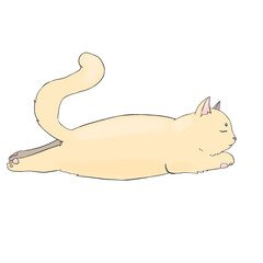Beige cat sleeps on its belly, simple illustration