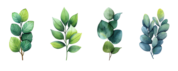 plant, leaf, flower, vector transparent colors, easy tu use, set item, watercolor transparent