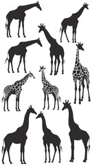 A set of giraffe vector silhouettes isolated on a white background