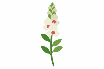 snapdragon flower vector illustration