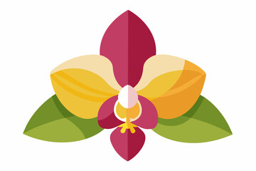 orchid flower vector illustration