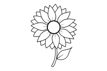 sunflower vector illustration