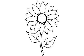 sunflower vector illustration