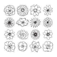 set of flowers