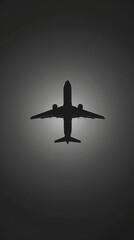 Fototapeta premium airplane flight tickets air fly travel takeoff silhouette 