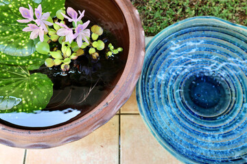 睡蓮鉢が並ぶ涼しげな中庭　日本の夏の景色　納涼　夏の風物詩　和風と洋風がブレンドされた庭