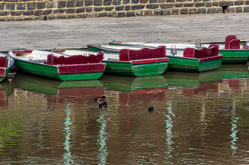 Ducks Before Wooden Hire Boats