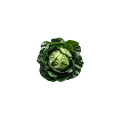 cabbage on a transparent background
