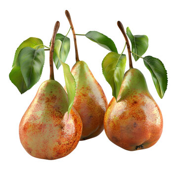 recommend clip art: fresh pears fruit Isolated on transparent background