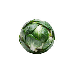 Fototapeta premium Brussels sprouts isolated on a transparent background